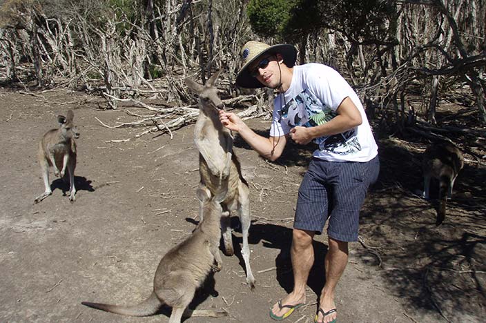 Australien och en Känguru, ett stopp på en jorden runt resa